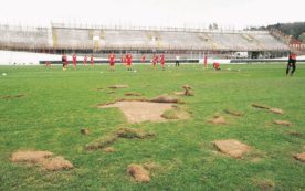 Copertina di Calcio  e ultras,  una coppia felice