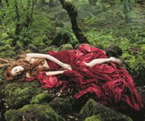 Copertina di Le donne di Cannes si prendono il cinema