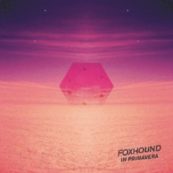 Copertina di A Torino in primavera si matura a 20 anni