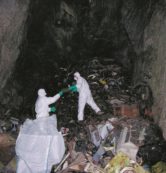 Copertina di Trieste, foiba trasformata in una discarica abusiva