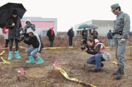 Copertina di Violenza, sesso e morte: ma non è uno sceneggiato