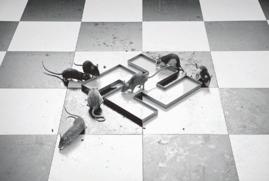 La vena madre di Dro Un palco per ridere provocare e danzare