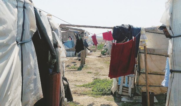 Copertina di Gli schiavi delle Favelas Italia muoiono al sole come bestie