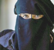 Copertina di Il mondo di fuori, visto dietro un velo