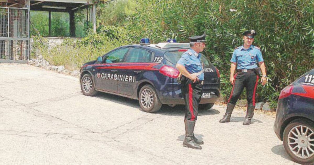 schiacciato da un muletto nel bresciano titolare di un8217azienda muore sul lavoro