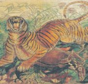 Copertina di Antonio Ligabue, tutti gli animali contro la follia