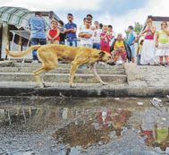 Copertina di Modello Casamonica: i clan che mirano alto