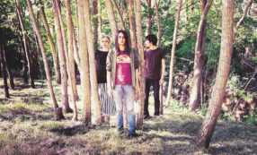 Copertina di Verdena, il ritorno dei visionari noir