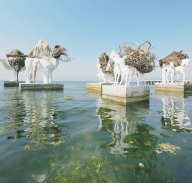 Copertina di L’acqua di Istanbul museo a cielo aperto per la caccia al tesoro