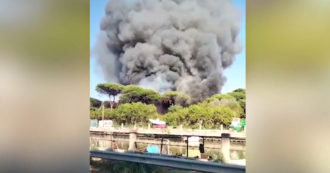 Copertina di Roma, incendio nella pineta di Castel Fusano: fiamme vicino a un campeggio – Video
