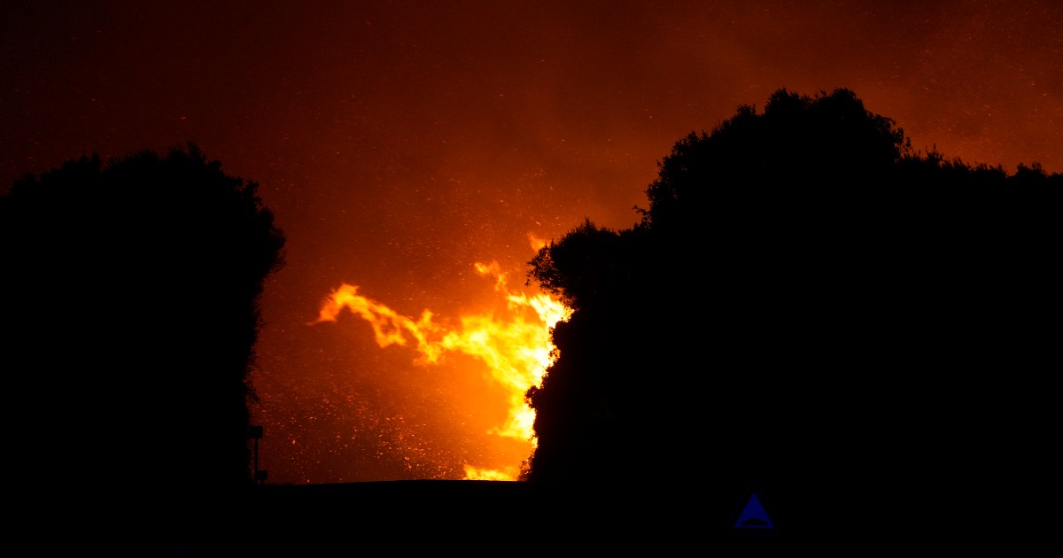 Incêndios, Itália é o país europeu com mais incêndios em 2021: 160 mil hectares queimados.  “Esperamos dados piores este ano”