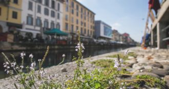 Copertina di Sbarazzarsi dei Navigli? Un sogno per tutto il ‘900. Noi invece abbiamo proposto di riaprirli