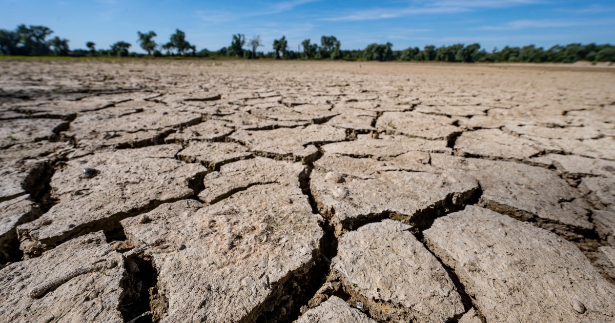 Climate crisis, empty dams and “lost crops”: drought brings Morocco to its knees.  “In the past we were hungry and never thirsty”