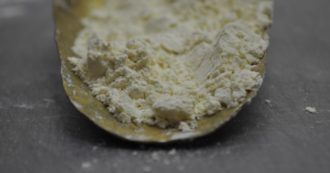 Copertina di Sindrome dell’intestino irritabile, dalla dieta a base di Tritordeum ai semi oleosi: come si possono ridurre i sintomi con l’alimentazione