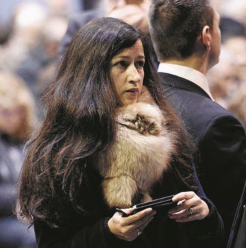 Zineb, “Charlie”  e l’eredità maledetta