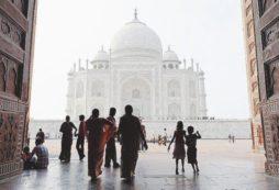 Copertina di Dal Taj Mahal al bisonte di Yellowstone  caro narciso, un selfie ti ucciderà