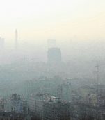 Copertina di Sui filtri per i diesel si muove il governo: “Indagheremo”