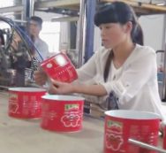 Copertina di Pomodori cinesi in Italia Marci e pieni di pesticidi