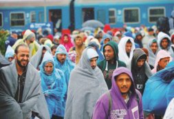 Copertina di Un treno chiamato Berlino carro bestiame per la libertà