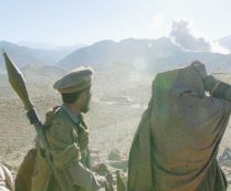 Copertina di Le bufale come arma strategica