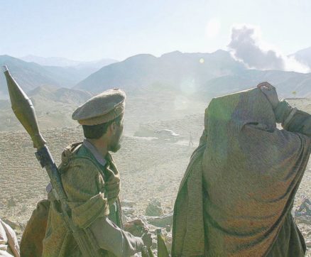 Le bufale come arma strategica