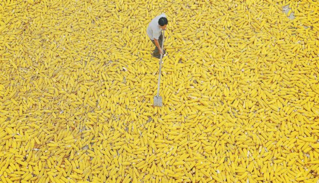 Copertina di Altro che “felce e mirtillo”. Il cibo bio è la vera sfida