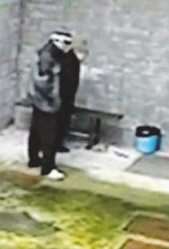 Riina in carcere parlò di “Binnu” e “Marcello”