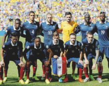 Copertina di Il porno-pollaio dei galletti tricolori e multietnici