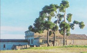 Copertina di L’assessore Pd ristruttura casa, paga l’Abruzzo