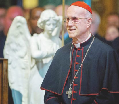 Il costruttore e gli affari nella Roma di Bertone