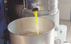 Copertina di “Non è extravergine, Maxi-truffa sull’olio”