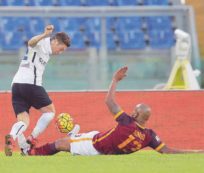 Copertina di Pavoletti e Rafael, la prossima volta sedateli. E denunciate Coly