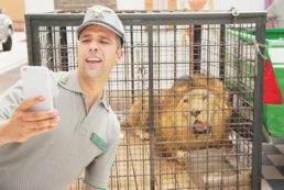 Copertina di Checco da Vendola all’Olimpo tra bravura, culo e occasioni