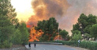 Copertina di Incendi, in Friuli Venezia Giulia 6 roghi attivi: “Incubo senza fine”. Nel Materano evacuate 150 persone. Fiamme ad Ascoli Piceno e in Versilia