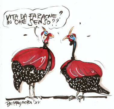Copertina di Vignetta Beppe Mora