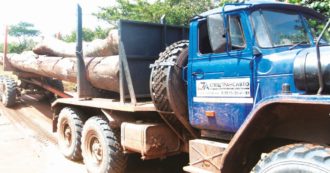 Copertina di Così i russi di Wagner si sono presi una foresta in Centrafrica