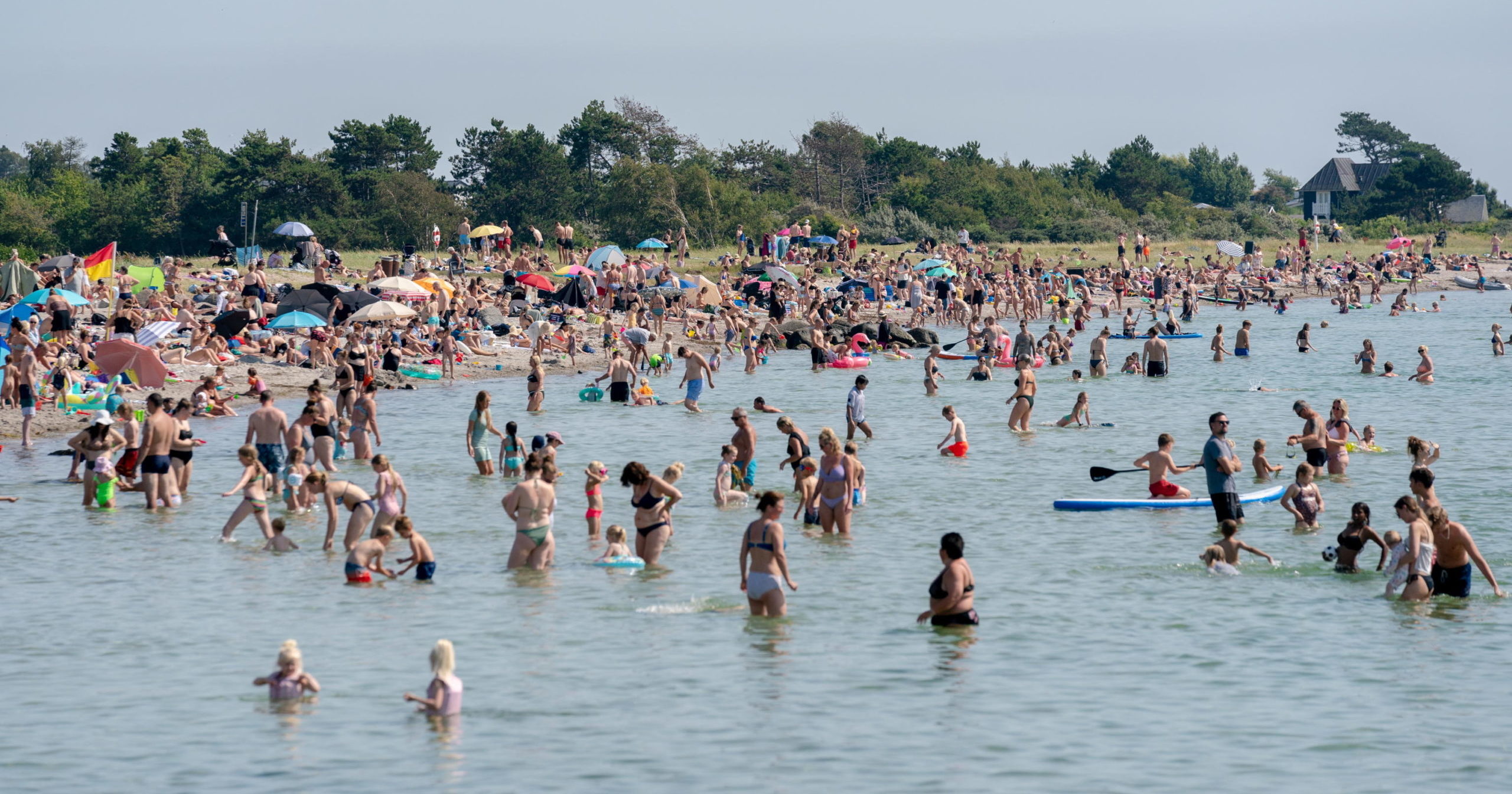 C'è Del Marcio In Danimarca In Inglese C’è del “marcio” in Danimarca: 36°C, un caldo “tossico” - Il Fatto