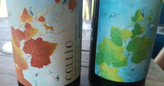 Copertina di Martissima: i vini di Marta Venica tra agricoltura rigenerativa, biodinamica e ‘convenzionale’
