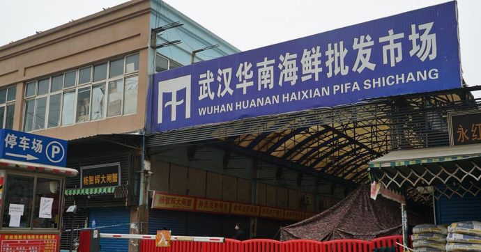 Covid, lo studio: “Il mercato di Wuhan primo epicentro della pandemia. Probabile sia emerso da commercio fauna selvatica”