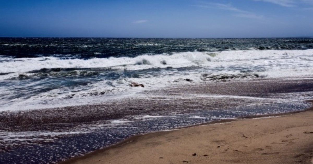 Ossa ritrovate in spiaggia a Gaeta: sotto la sabbia trovato uno scheletro intero