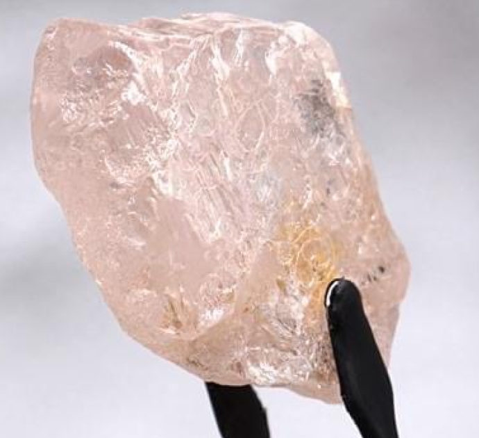 Il più grande diamante rosa degli ultimi 300 anni trovato in Angola: si chiama Lula Rose