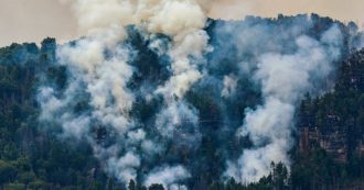 Copertina di Bruciano i boschi della Germania: la difficoltà a spegnere le fiamme per mancanza d’acqua e vegetazione secca