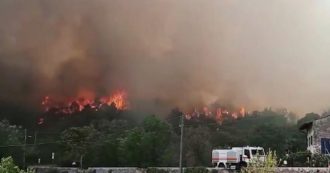 Copertina di Incendi, ancora fuoco sul Carso: fiamme vicino alle abitazioni. Sindaco Gorizia:” Roghi dolosi”