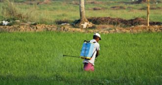 Copertina di Ucraina, l’esperto: “Cibo insufficiente? Una scusa per aiutare le lobby alimentari”
