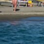 Copertina di Un bambino di 6 anni è scomparso in mare davanti alla spiaggia di Cavallino Treporti: ricerche in corso