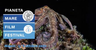 Il Pianeta Mare Film Festival è un’occasione per scoprire la Napoli che pochi conoscono