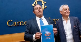 Copertina di Udc e Toti: polo centrista a destra