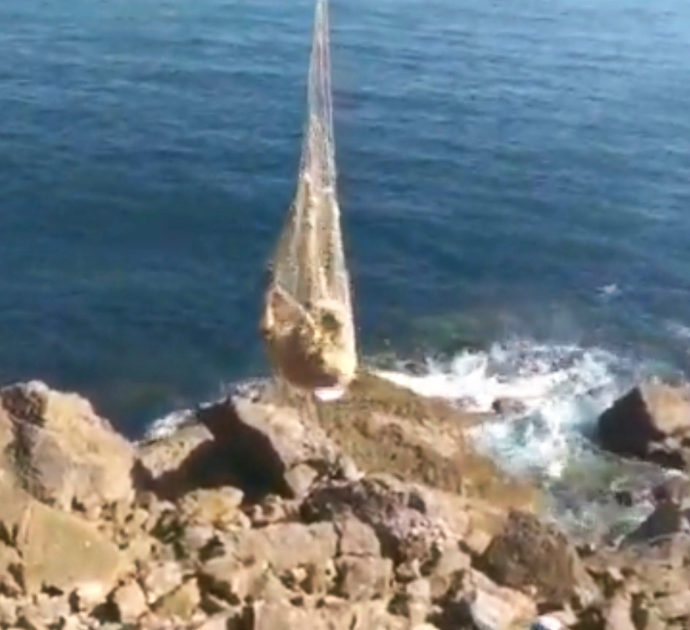 La mucca cade nella scogliera e rimane incastrata tra i massi: l’incredibile salvataggio con l’elicottero