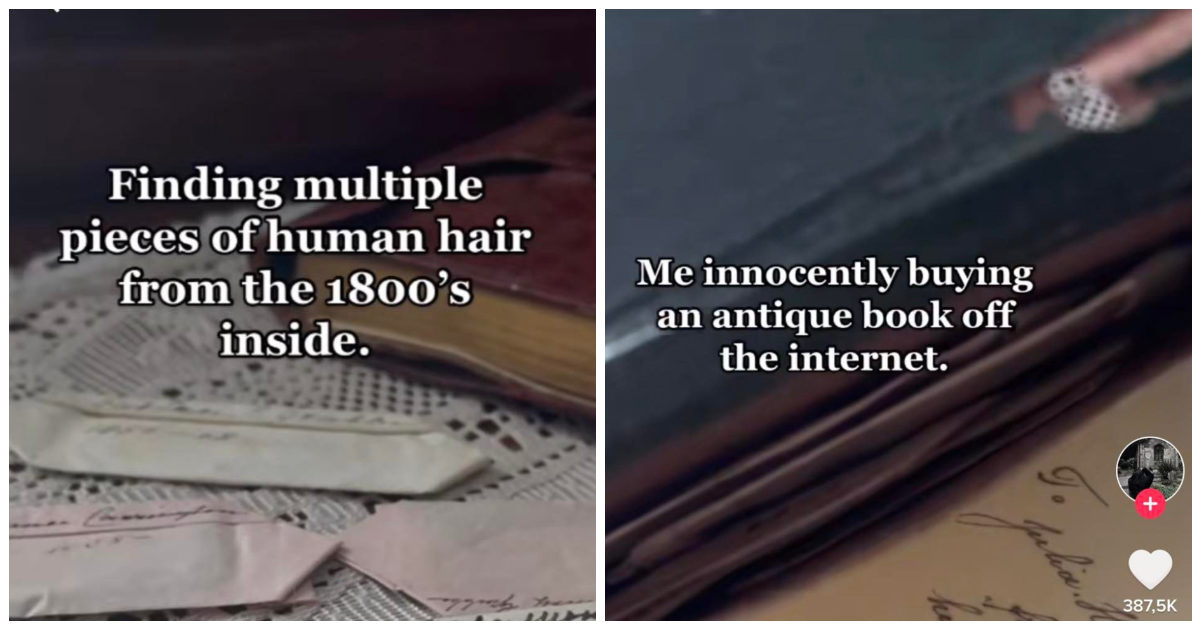 Ordina online un libro antico e ci trova dentro delle ciocche di capelli: la macabra scoperta della tiktoker. Il web si scatena: “I trofei di un serial killer del 1800”, “Fai il DNA”
