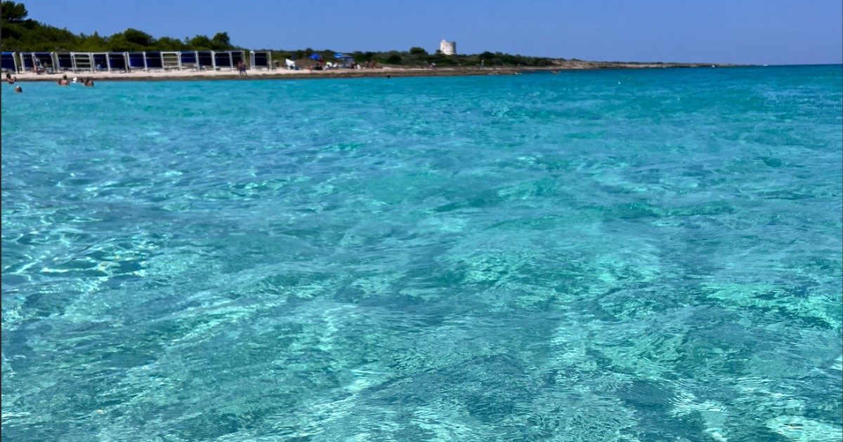Il mare più bello d’Italia è in Puglia: il 99% della sua costa ha un’acqua eccellente. Segue la Sardegna, ultimo l’Abruzzo: ecco la classifica completa